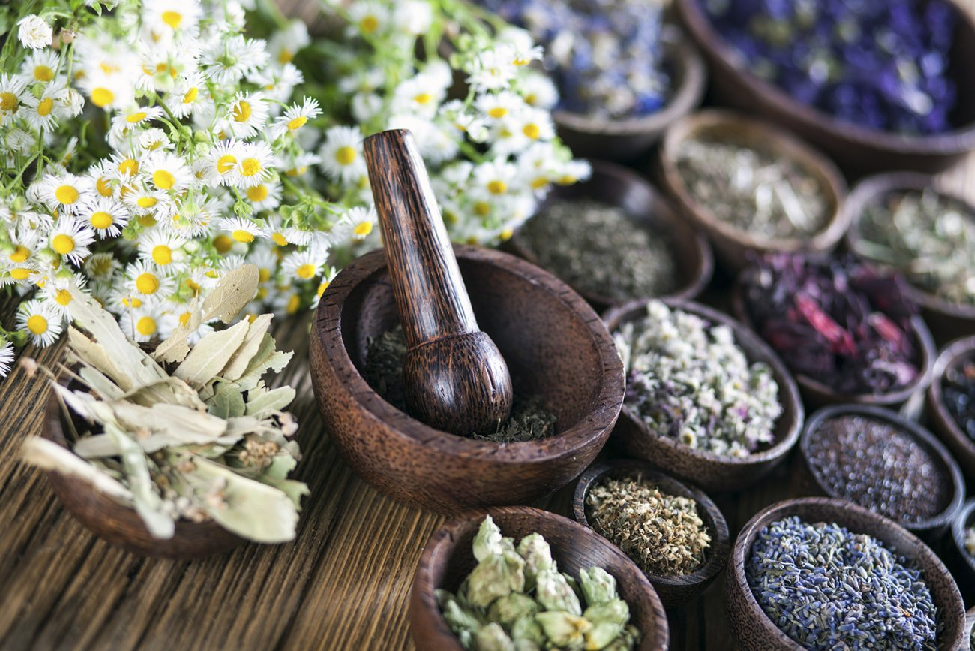 Traditional Chinese Medicine Herbal Medicine 